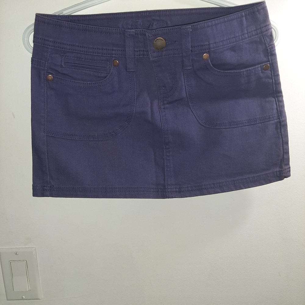 Vintage Purple Skirt